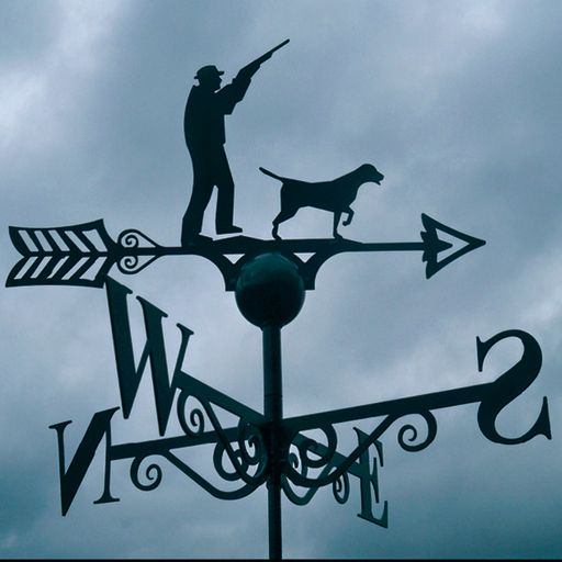 Weathervane Shooting (SUN58)